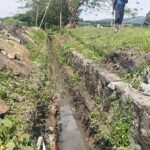 484488265_631436712972465_5113742916570165905_n