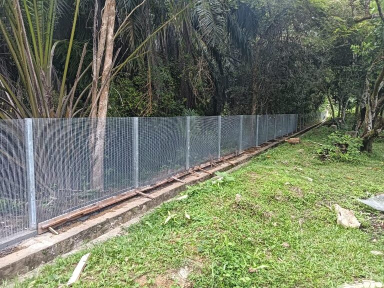 WhatsApp Image 2025-10-23 at 4.42.45 AM