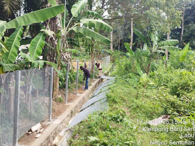 WhatsApp Image 2025-10-23 at 4.42.46 AM